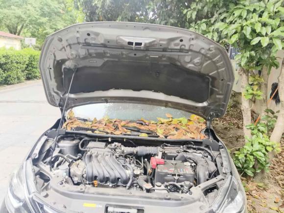 [上海·苏U] 二手日产轩逸2022款 经典 1.6XL CVT豪华版