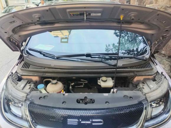[上海·沪A] 二手比亚迪海豚2021款 405km 时尚版