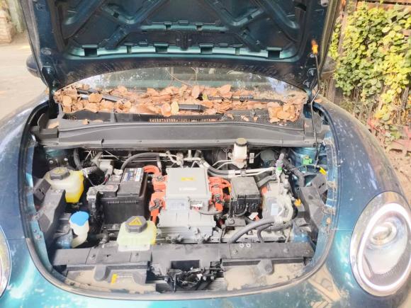 [南京·苏A] 二手欧拉欧拉好猫2021款 400km标准续航 维纳斯版 磷酸铁锂