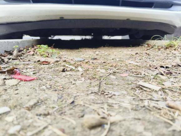 [苏州·苏E] 二手别克英朗2016款 15N 自动豪华型