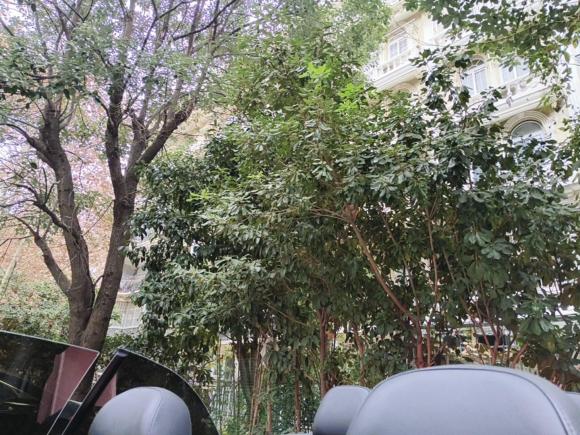 [上海·沪A] 二手奥迪奥迪A52014款 Cabriolet 45 TFSI