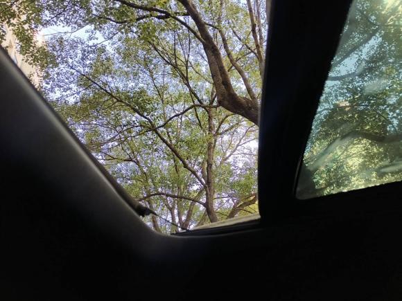 [上海·沪A] 二手林肯林肯MKC2017款 2.0T 四驱尊雅版