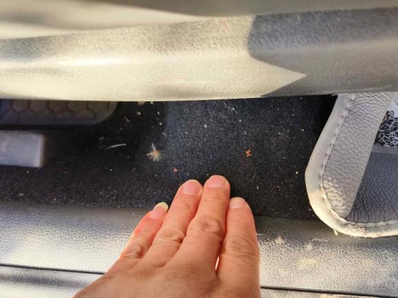 [合肥·皖A] 二手大众朗逸2015款 1.6L 自动舒适版