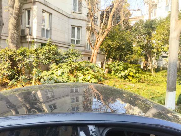 [杭州·浙D] 二手特斯拉Model Y2021款 改款二 长续航全轮驱动版