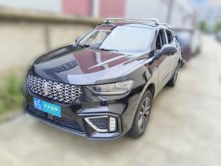 魏牌魏牌 VV52020款 1.5T 两驱智先锋