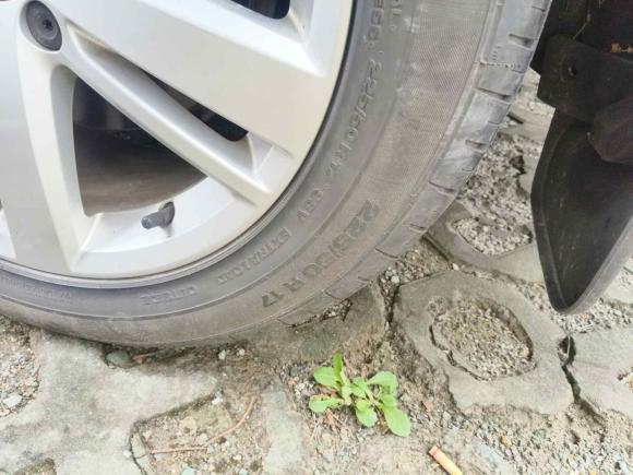 [上海·沪A] 二手大众夏朗2018款 380TSI 舒享型 7座