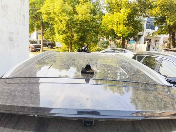 [上海·川Y] 二手捷途捷途X70 PLUS2023款 1.5T DCT勇者PLUS 5座