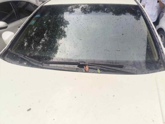 [上海·沪K] 二手本田雅阁2010款 2.0L EX