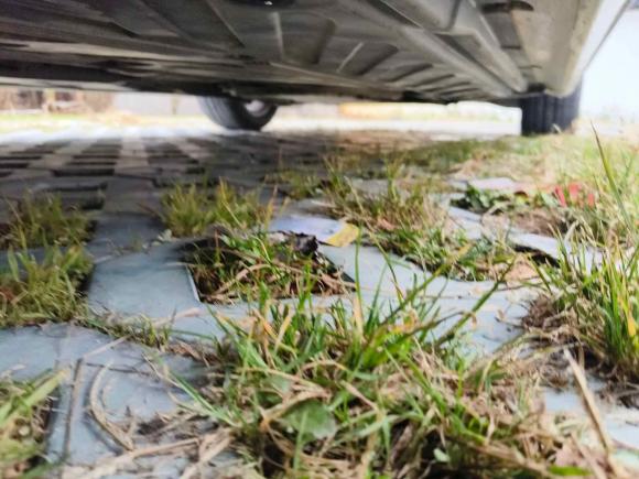 [温州·浙C] 二手奔驰奔驰C级2019款 C 180 L 时尚型运动版