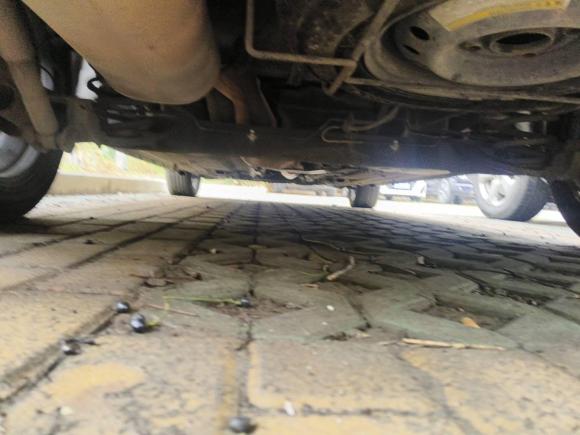 [杭州·浙A] 二手启辰启辰M50V2017款 1.6L XL CVT豪华版