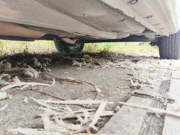 [广州·粤S] 二手丰田花冠2013款 1.6L 自动豪华版