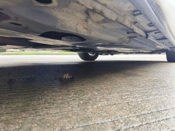 [台州·浙J] 二手马自达马自达3 昂克赛拉2014款 三厢 1.5L 手动舒适型