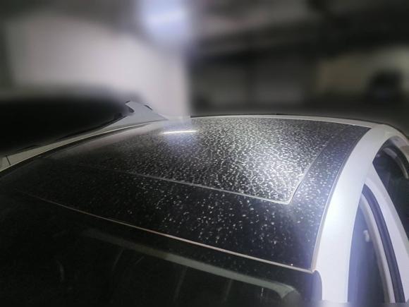 [青岛·鲁B] 二手大众凌渡2015款 280TSI DSG豪华版