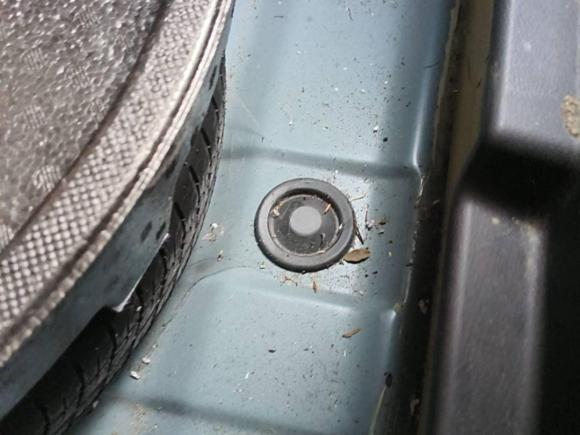 [温州·浙C] 二手日产蓝鸟2016款 1.6L CVT智酷版