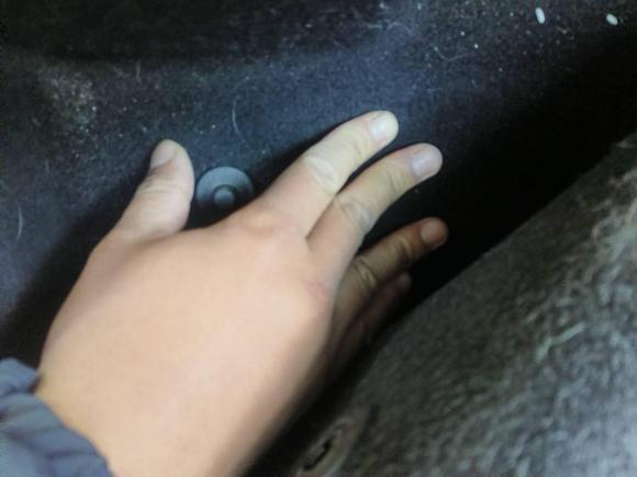 [合肥·皖A] 二手大众途铠2019款 1.5L 自动舒适版