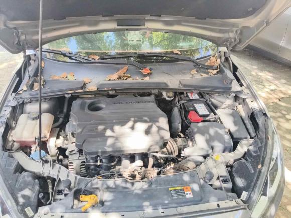 [金华·浙G] 二手福特福睿斯2015款 1.5L 自动时尚型