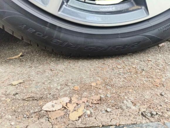 [成都·川A] 二手奥迪奥迪A6L2024款 40 TFSI 豪华动感型