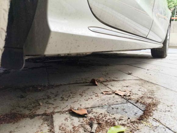 [上海·浙F] 二手奥迪奥迪A6L2016款 TFSI 技术型