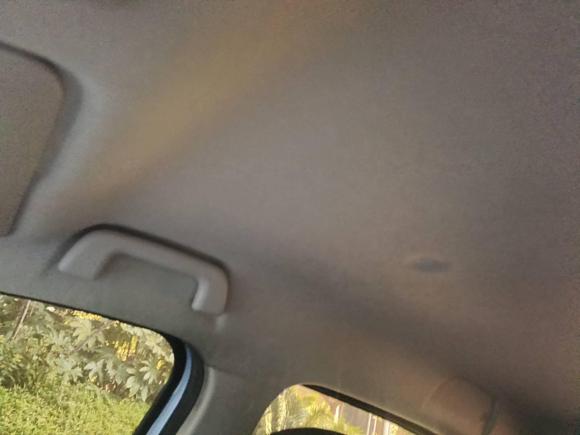 [杭州·浙A] 二手欧拉欧拉黑猫2019款 351km 亲子版