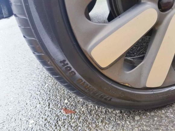 [广州·粤A] 二手欧拉欧拉黑猫2019款 351km 亲子版