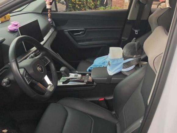 [上海·辽P] 二手比亚迪宋Pro2019款 1.5T 自动尊贵型