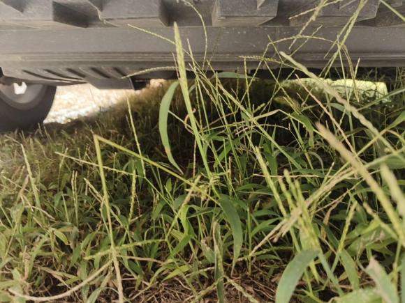 [青岛·鲁U] 二手吉利汽车远景2020款 1.5L CVT亚运版