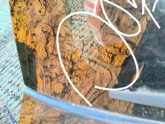 [广州·桂C] 二手丰田RAV4荣放2009款 2.4L 自动豪华版