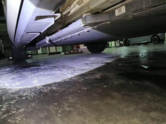 [宁波·浙B] 二手比亚迪海豚2025款 420km 活力版