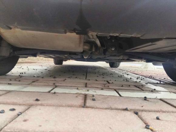 [苏州·苏E] 二手MINIMINI2015款 1.5T COOPER Fun 五门版