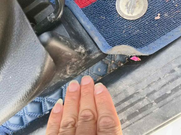 [上海·苏U] 二手宝骏宝骏5302021款 全球车周年纪念版 1.5T CVT尊贵互联型 5座