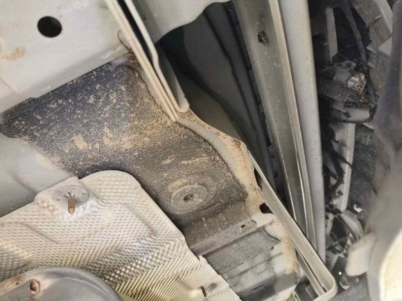 [深圳·湘U] 二手哈弗哈弗H62018款 红标 1.5T 自动超豪型