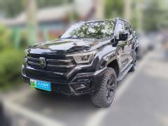 [济南·鲁A] 坦克坦克400新能源2024款 Hi4-T 城市版