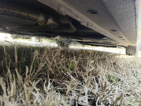 [青岛·鲁B] 二手福特福睿斯2015款 1.5L 自动舒适型