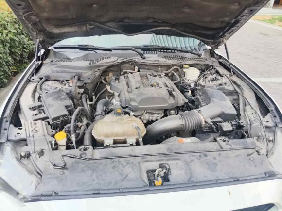 [宁波·浙B] 二手福特Mustang2015款 2.3T 性能版