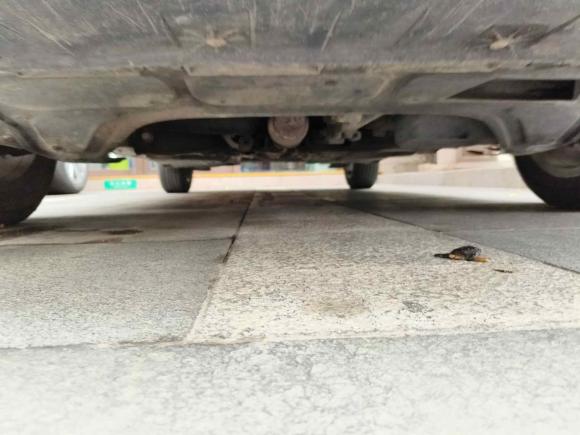 [青岛·鲁Q] 二手斯柯达晶锐2014款 1.4L 自动晶灵版