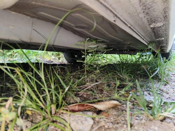 [深圳·粤M] 二手别克英朗2015款 15N 自动豪华型