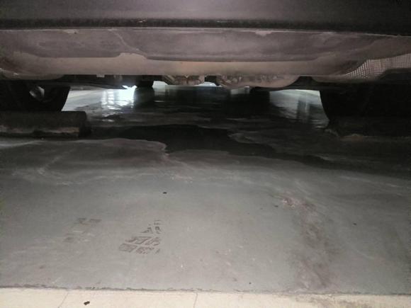 [苏州·苏U] 二手宝马宝马3系2020款 改款 325Li M运动曜夜套装