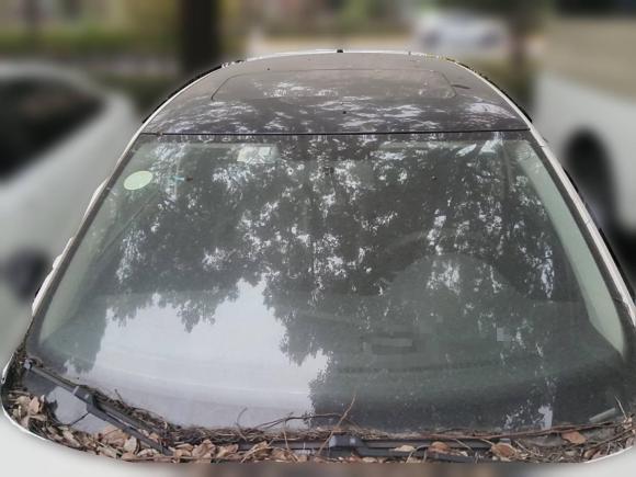 [嘉兴·浙F] 二手斯柯达昕动2014款 1.6L 自动悦享版