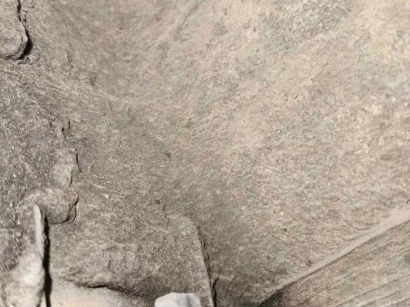 [湖州·浙E] 二手大众Polo2013款 1.6L 自动舒适版