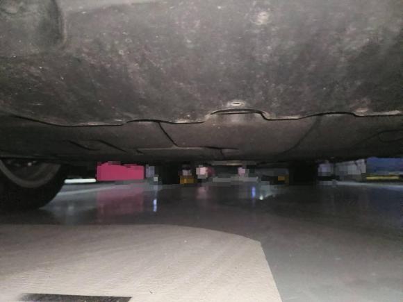 [合肥·皖A] 二手丰田卡罗拉2023款 1.2T 精英版