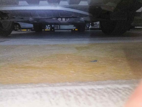 [嘉兴·皖L] 二手一汽森雅R72016款 1.6L 手动智能型