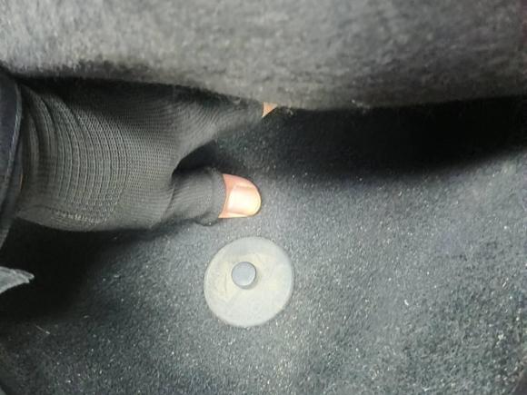 [嘉兴·浙F] 二手福特福克斯2012款 两厢 1.6L 手动舒适型