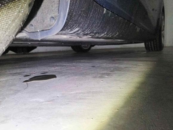 [上海·沪A] 二手特斯拉Model Y2021款 长续航全轮驱动版