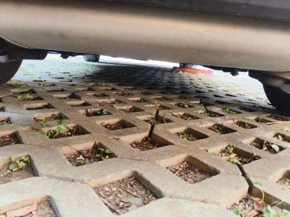 [上海·沪D] 二手沃尔沃沃尔沃V402017款 T3 智逸版