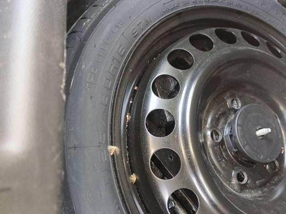 [合肥·皖A] 二手别克君威2019款 20T 精英型 国V