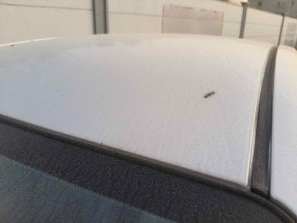 [佛山·粤E] 二手日产阳光2015款 1.5XE CVT舒适版