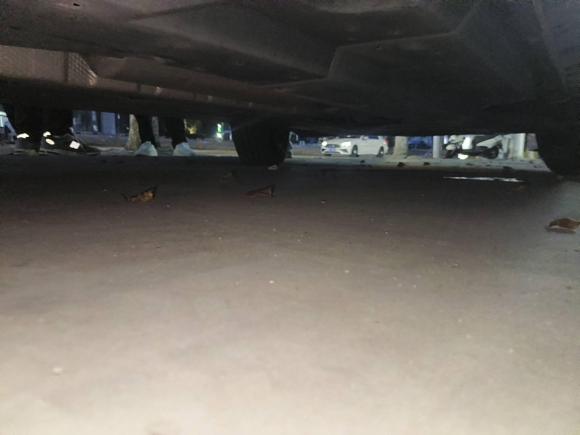 [温州·浙C] 二手丰田威兰达2020款 2.0L CVT两驱豪华版