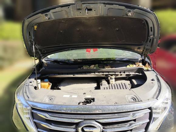 [合肥·皖A] 二手广汽传祺传祺M82018款 320T 尊贵版