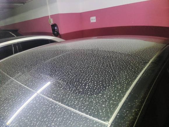 [上海·沪A] 二手特斯拉Model 32021款 标准续航后驱升级版