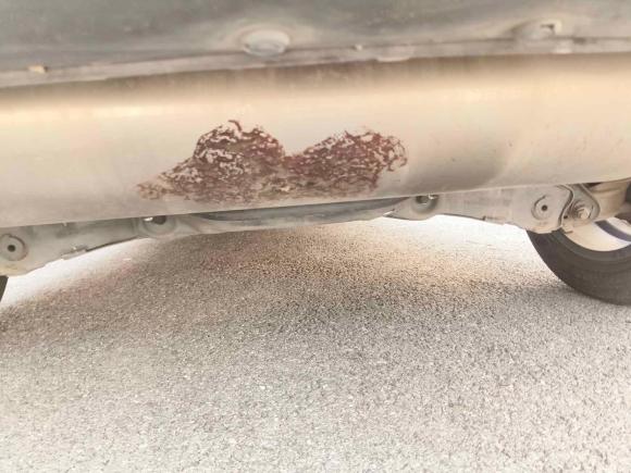 [上海·苏U] 二手哈弗哈弗H62020款 2.0GDIT 自动GT冠军版